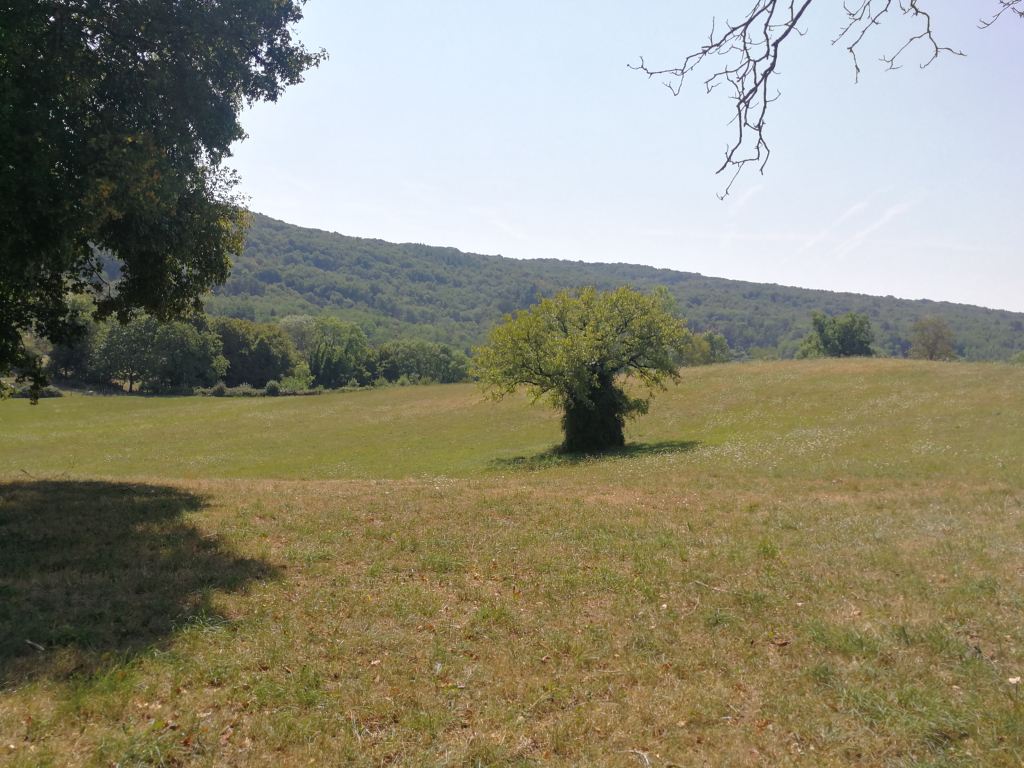 Rester proche pour aller loin - Le GRP Tour du Revermont